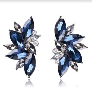 Crystal Earrings